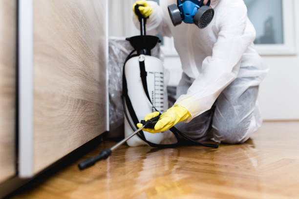 Best Pest Removal Services  in Spring Hill, KS