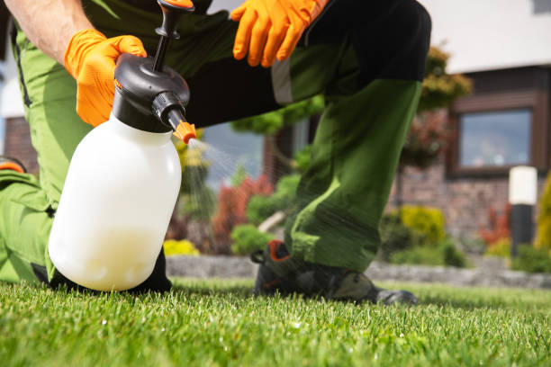 Best Rodent Control Near Me  in Spring Hill, KS