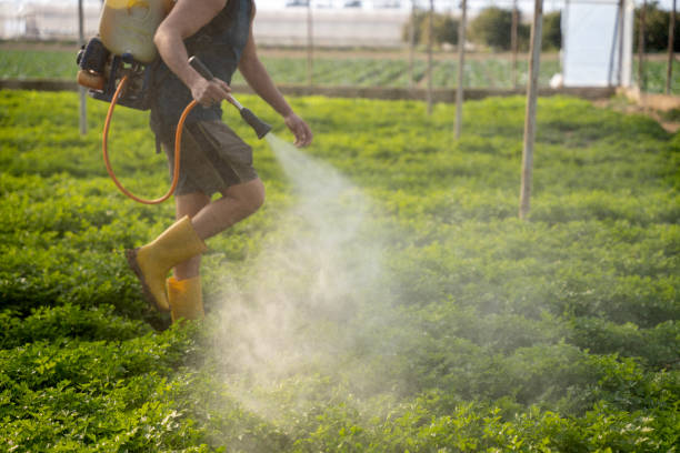 Pest Control for Restaurants in Spring Hill, KS