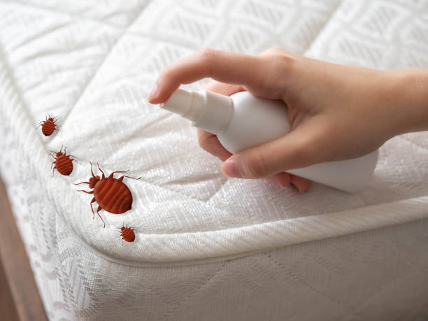 Best Pest Control Near Me  in Spring Hill, KS