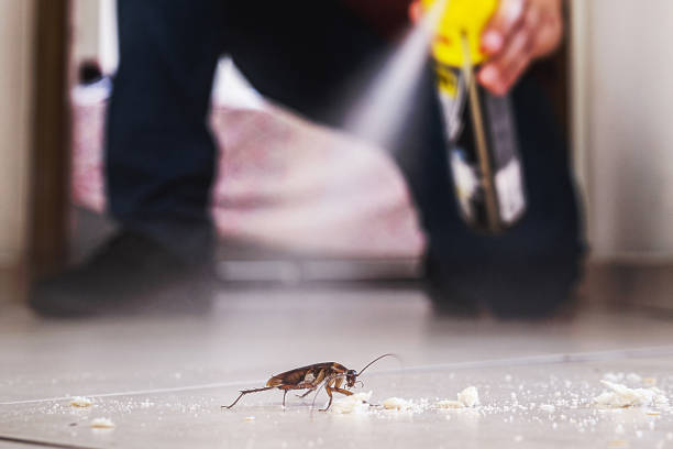 Best Pest Inspection Near Me  in Spring Hill, KS