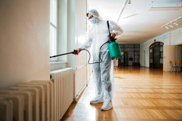 Best Local Pest Control Services  in Spring Hill, KS