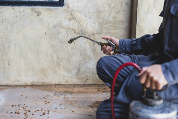 Best Affordable Pest Control Services  in Spring Hill, KS