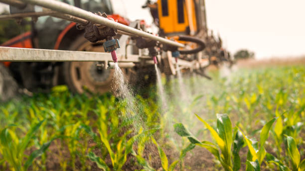 Reliable Spring Hill, KS Pest Control Solutions